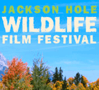 Jackson Hole Wildlife Film Festival