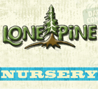 Lone Pine Nursery & Tree Service