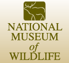 National Museum Of Wildlife Art